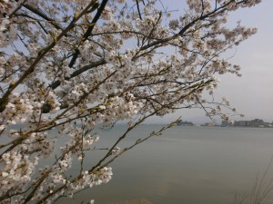 湖畔公園加工